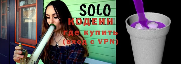 индика Кодинск
