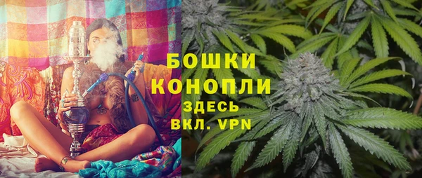 индика Кодинск